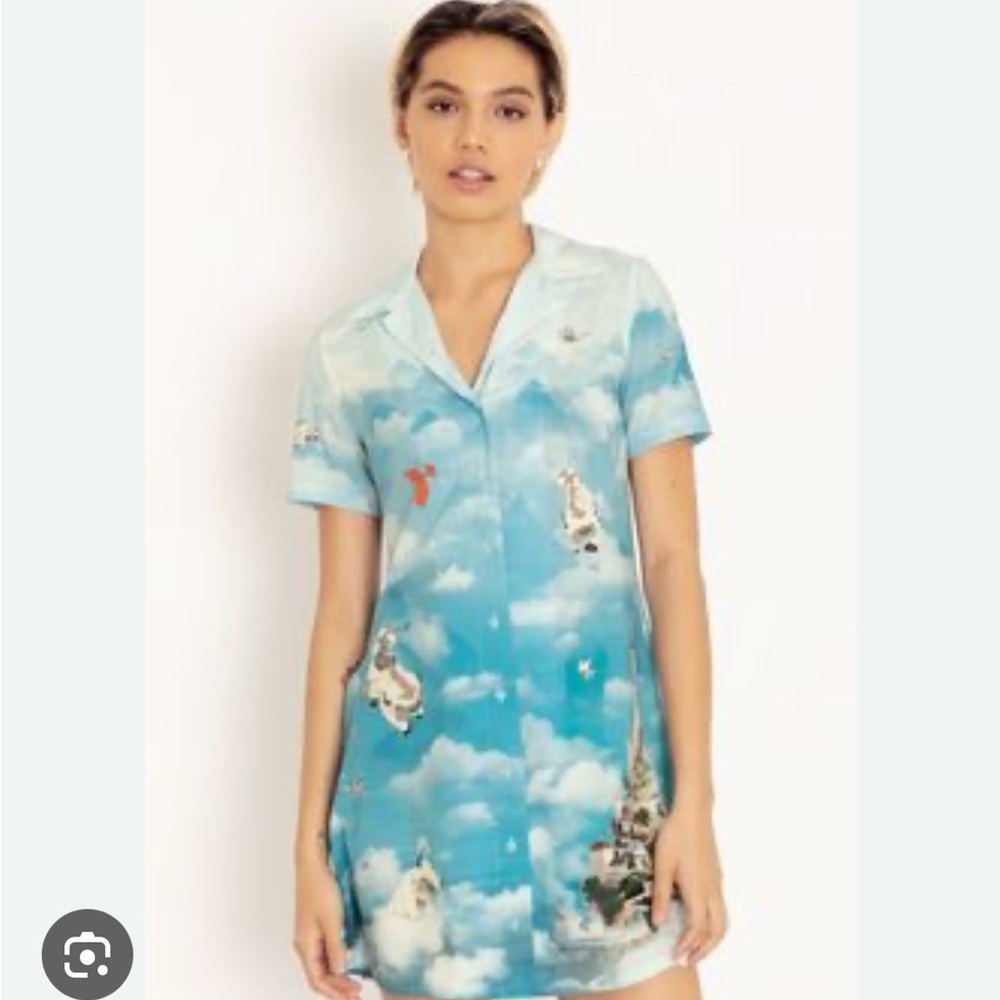 Blackmilk Avatar: the Last Airbender dress (buttoned)